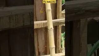 10 feet column casting-vibrater-Amar Kuthi #civilengineering #columns #casting #construction #like
