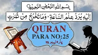 Para 25 | Peaceful & Heart Touching Recitation Of Juz 25 | Relaxing & Peaceful Tilawat Of Holy Quran