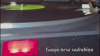 Gauja nesa sudrabiņu