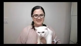 WebWellness how to test ANIMALS on LifeExpert 3.0