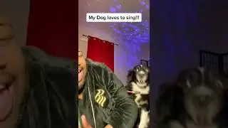 Dog Sings Along With Owner - 1302960