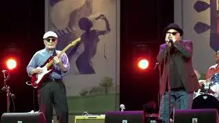 Curtis Salgado - You Got To Move | HIBF - Grolloo | 14/6/2019