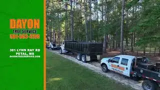 WDAM Commercial - Dayon Tree Service - Storm Cleanup: Drone [JAN26] (:10)