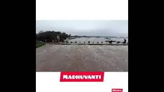 #madhuvanti #pata ghed 15/09/2021