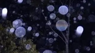 WTF how many orbs.... and Damo's real reaction to heights lol the Orbs took over! 