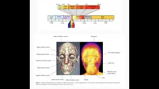 AI for Thermal FER - Problems and Limitations in Data (AAAI 2020)