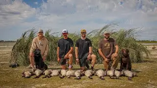 2022 North Dakota Early Goose Hunting(Island Retrieve) ￼