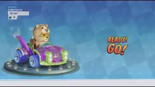 Space Cup: Pura|Crash Team Racing Nitro-Fueled