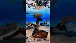 Четверг.Вспоминая лето! #yotubeshorts #hits #music #voyage #sammer