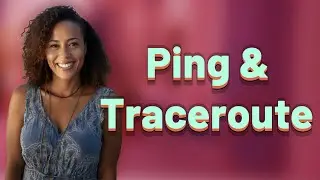 How Do Ping and Traceroute Work Together to Fix Smart Home Issues?