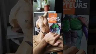 Sculpting a women body out of wood with @anatomyforsculptors  #anatomyart #woodcarving