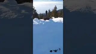 Lake Tahoe Drone View. #shorts #epic #winter #drone
