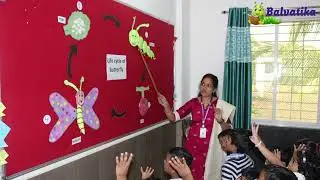 Oxford International School Balvatika Project: Life Cycle of a Butterfly
