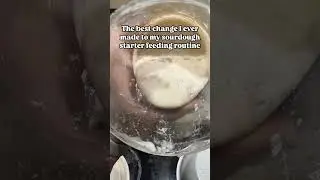 The best change I ever made to my sourdough starter feeding routine