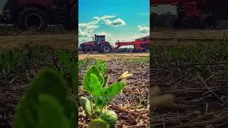 modao dos bao #modacaipira #modaodosbao #sertanejo #modaosertanejo #musica #shorts #short