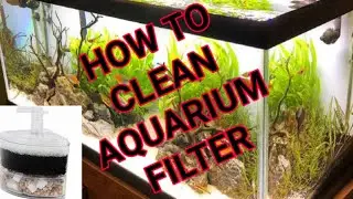 How to Clean Aquarium Filter | FunMart