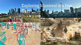 Exploring Montreal in a Few Days! 🚤 Boat Tour, Port Tower Views, Science Centre & Biodome Adventure