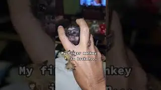 My Finger Monkey 🐒 Is Broken 😭