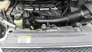Ford Focus C-MAX 1.6 Duratec Engine Sound