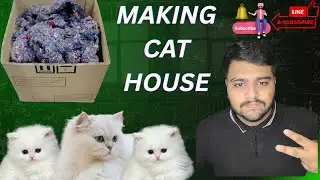 MAKING CAT HOUSE|KAMRAN YAQOOB OFFICIAL|YOUSAF|FUN|COMEDY