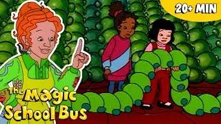 Baking, States of Matter & Molecules | Chemistry for Kids | Science for Kids | The Magic School Bus