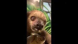 Animal Edventure - 😂😂 #flash eating breakfast getting ready for today. Visit  #AnimalEDventurePar