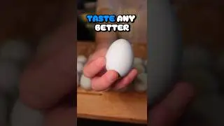 Do Blue Heirloom Eggs Taste Better Than Regular Eggs?