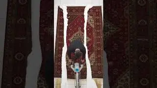 Most Satisfying Rug Wash Ever