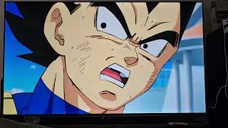 What did you do to my Bulma