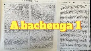 A.bachenga Odai 1