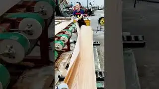 Amazing Wood Grain Reveal! Satisfying Factory Work #shorts