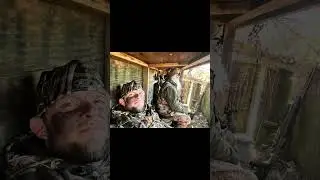 Утки и хорошее настроение 🦆 #утка #командируток #утинаядинастия