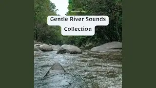 Relaxing Stream