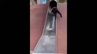 Cop Falls Down Slide #cops #slide #comedy