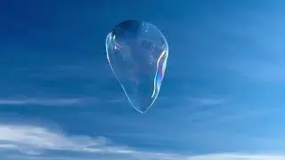 Beautiful Giant Bubbles along West Cliff to Leave You Mesmerized