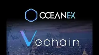 OceanEX The Right Hand Of Vechain!