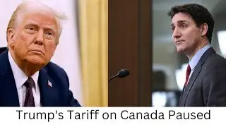 Stock Futures Surge as Trump Pauses Tariffs on Canada and Mexico: Market Rebounds