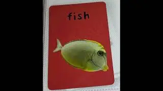 &ldquo;100 First Animals&rdquo; Book Series Flash Cards