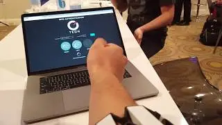 Biometric Identity Authentication using Wearable