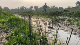 Survival in the Wild: Catching Fish from the Mud for a Forest Feast!