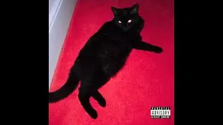 POV: You don't chase, you attract. (1hr BLACK CAT ENERGY)🐈&zwj;⬛🐈&zwj;⬛🐈&zwj;⬛