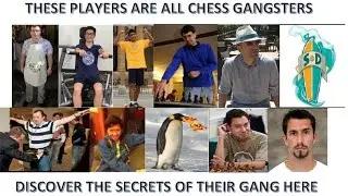 PRO Chess League week 1: San Diego Surfers vs Seattle Sluggers