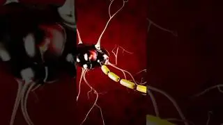 Neurones #function #doctor #shortsvideo #foryou #reels #usa