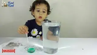 Simple Science Experiment With Water And Paperclips You Can Do At Home