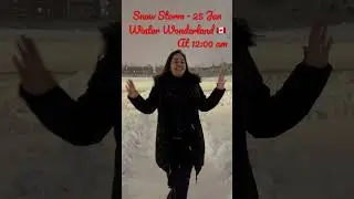 Beauty of snow storm 🇨🇦 #snowstorm #canada #toronto #newimmigrant #ontario #bramptonwale #vlog