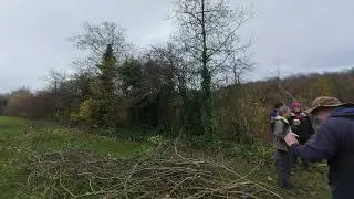 Hedgelaying timelapse