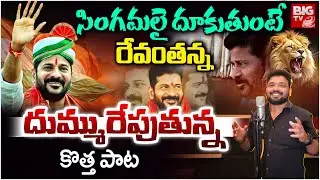 CM Revanth Reddy Special Song | Revanth Reddy Songs | Gaddam Santhosh Songs | Revanth Reddy New Song