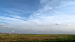 Полосатик 14 10 12