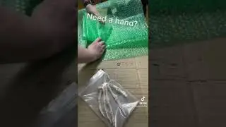 Do you know how many bones are in a human hand?