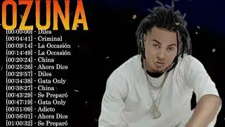 Ozuna Greatest Hits &ndash; Top Reggaeton Songs That Took the World by Storm 2026